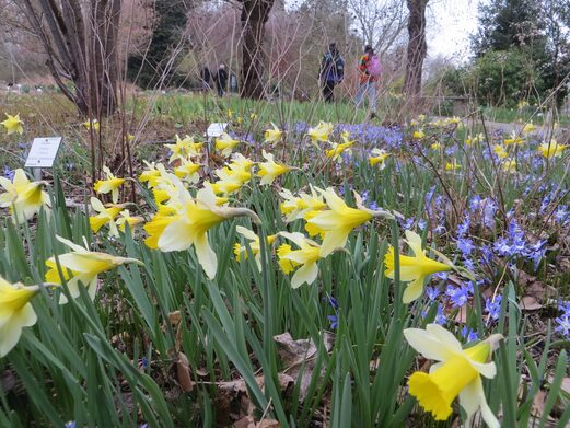 Entspannung im Grünen und spannende Infos zu Pflanzen aus aller Welt bietet der Botanische Garten.