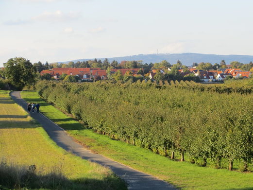 Grüne Oase am Lerchenberg: Die Draiser Senke