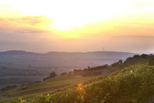 Bildergalerie GWC Romantisches Rheinhessen Romantisches Rheinhessen in der Abenddämmerung