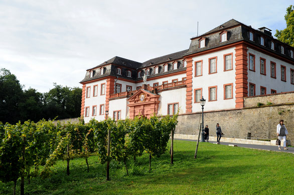 Zitadelle mit Prominenten-Weinberg