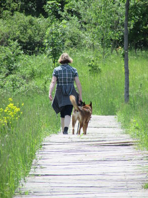 Spaziergängerin im Ober-Olmer Wald