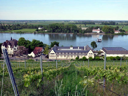 Weinberg mit Weingut