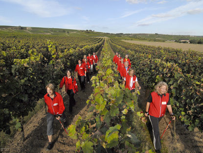 Nordic Walker im Weinberg