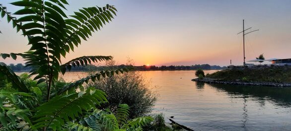 Fotoreihe: Sonnenaufgänge nach tropischen Nächten in Mainz bei 26 Grad im August 2020 um 6 Uhr morgens