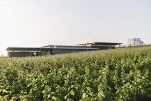 Kellerei im Weinberg © Weingut Dreissigacker