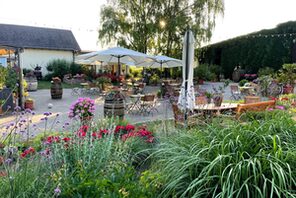 Pflanzen und eine Terrasse © Weingut Paulinenhof