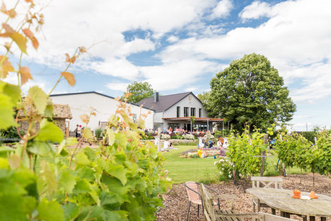 Blick auf das Weingut mit picknickenden Besucherinnen und Besuchern