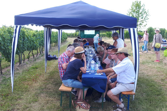 Teilnehmer:innen sitzen in der Natur, genießen den Ausblick und den Wein.