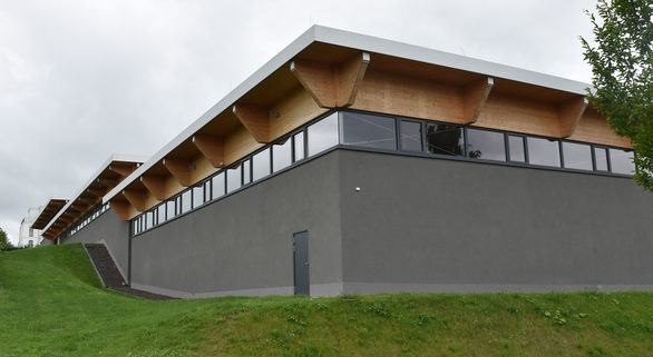 In der Lage Bechtheimer Heiligkreuz liegt das Weingut eingeschnitten in den Weinberg.