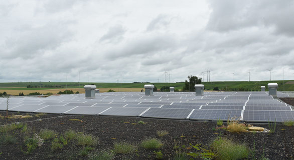 Photovoltaikanlage und ein begrüntes Holzdach zeugen von der Nachhaltigkeit des Weinguts.