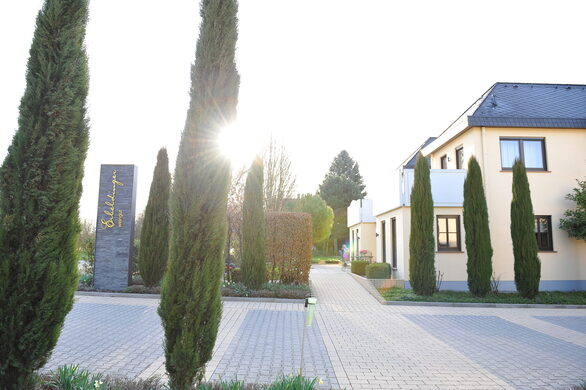 Sonnenaufgang auf dem Weingut Erbeldinger