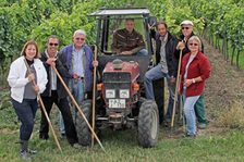 Gruppe bei der Arbeit im Weinberg